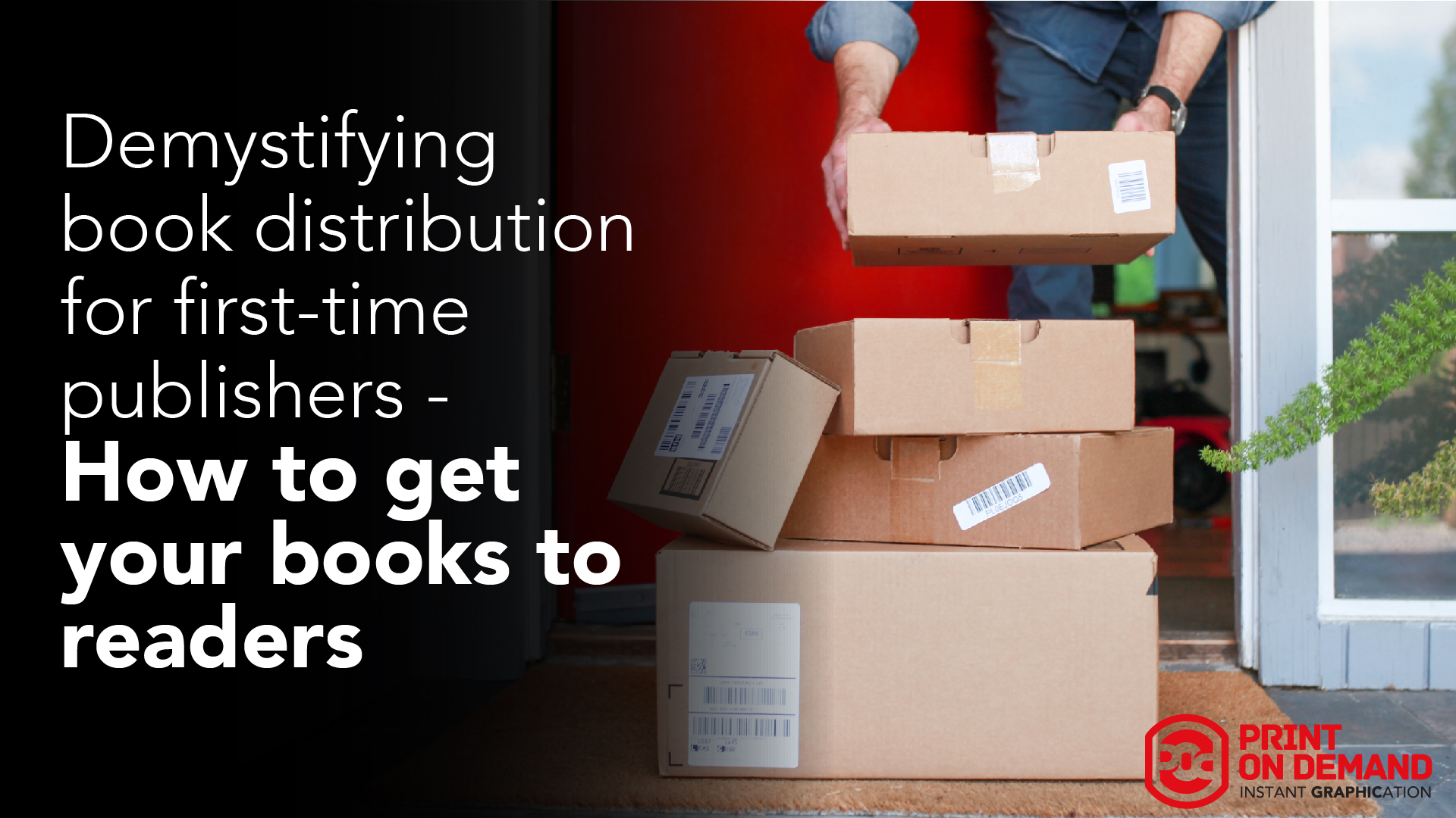 Demystifying book distribution for first-time publishers - How to get your books to reader